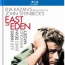 에덴의 동쪽 이미지