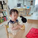 바른나무파트너스 | 유아책상의자세트 야마토야 노스타3, 25개월, 9개월 아기 실제 사용 후기 솔직 공개!