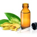 일랑일랑 이미지