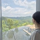 관양산길 | 원주 뮤지엄산 입장료, 예매, 기본패스권, 이배 전시, 카페, 임산부 후기