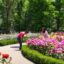 정관 구목정공원 이미지