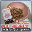 애기야 | 울애기쌩쌩 강아지 안전사료 후기, 소프트사료,노견사료, 장단점