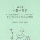 괴테의 식물변형론-요한 볼프강 폰 괴테 저자(글) · 이선 번역 이미지