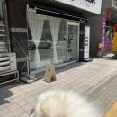도그이살롱 | [고양시 덕양구] ‘도그이살롱’ 삼송 애견미용 추천! 고양시 애견 스파&amp;미용 | 포메라니안 미용 대성공...