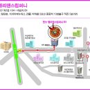 ━━》워크샵 :벤누스튜디오 / 대회&갈라쇼 :해운대 문화회관(해운홀) 이미지