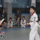 용인대 정심태권도 이미지