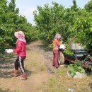 김해농장2 이미지