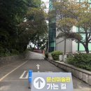 마산시립문신미술관 | 단돈 500원으로 즐기는 마산 바다 전망 뷰맛집! 창원시립마산문신미술관 인생샷 데이트🩵👍