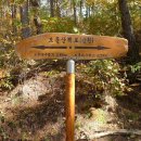 현충원 산책길 이미지