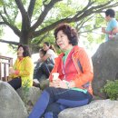 진례초등학교 이미지