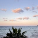 애월로 | [제주3] 5박 6일 제주도 혼자여행🍊(옹포83, 멜톤, 제레미 ,아이미비치호텔, 상상, 고래꼬리)