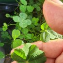 지에스(GS)25 상도제일점 이미지