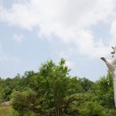 예당공원 이미지