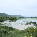 경안천 Daum카페