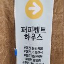 퍼피펜트하우스 | 일산 애견카페 풍동 퍼피펜트하우스 다녀왔어요