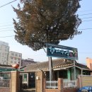 수안보우리의원 이미지