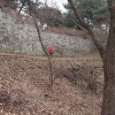 관고동-02 이미지
