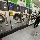 다들림세탁소 이미지