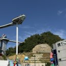 대치2-113 | 2025 9월 뚜벅이의 당일치기 묵호여행