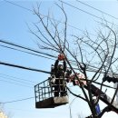 [도로]장안구청 사거리 이미지