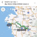 헬로카라방펜션