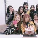 플틴 Daum카페