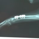 가능동물병원 이미지