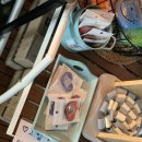 마이달링독 | 인천 애견카페 추천, 인천 강아지수영장 ‘마이달링독’/다킷리스트_D's Bucket list