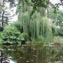 모네의 정원 이미지