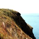 강정동-22 이미지