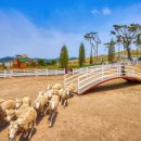 서진목장 이미지