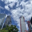 수미산정 | [7월 그림일기 1] 인생 - (해산물+술) = 0