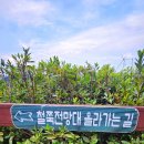 영화산책 이미지