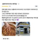 올데이피자서비스제주월정점 | 제주 동쪽 월정리 맛집/ 올데이피자서비스 제주 월정점