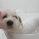 (주)협성로하스 이미지