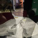 신동경 | 공룡 좋아하는 아이와 가기 좋은 화성 공룡알 화석산지 방문 후기
