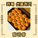 1255 | 카카오톡 선물하기 탐라왕 귤 선물세트 후기