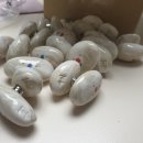 사이아트플랜 이미지