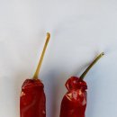 기계초등학교 이미지