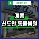 신도안동물병원 이미지