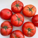 토마토 이미지