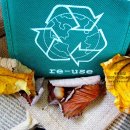 마일스톤 행정사 사무소 이미지