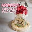 유리돔 모드등 | 가정의달 선물 추천! 어버이날 유리돔 카네이션 (스승의날도 ok~!)