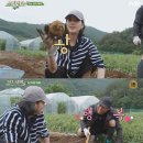 김고은이 삼시세끼에서 감자캘때 입은 옷 이미지