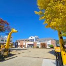 동명어린이집 이미지