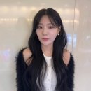 제니디자인 이미지