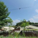 오수천1 이미지