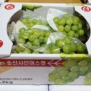 벧엘농원 이미지