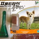 신우동물약품 | 신우동물약품 에서 심장사상충예방약 샀어요
