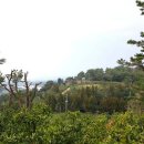 남원읍-124 이미지